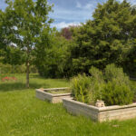 Communal Gardens
